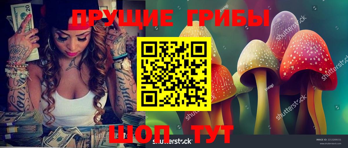 Галлюциногенные грибы прущие грибы  Вход с VPN  хочу наркоту  Алексин 